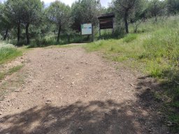 Flora del Cerro Masatrigo